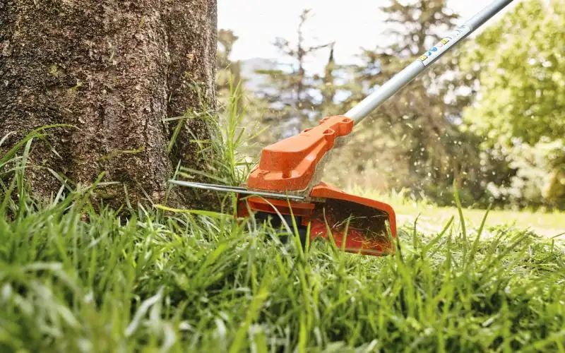 Χορτοκοπτικό STIHL κόβει χορτάρι γύρω από δέντρο – Κατηγορία Φροντίδα Γης